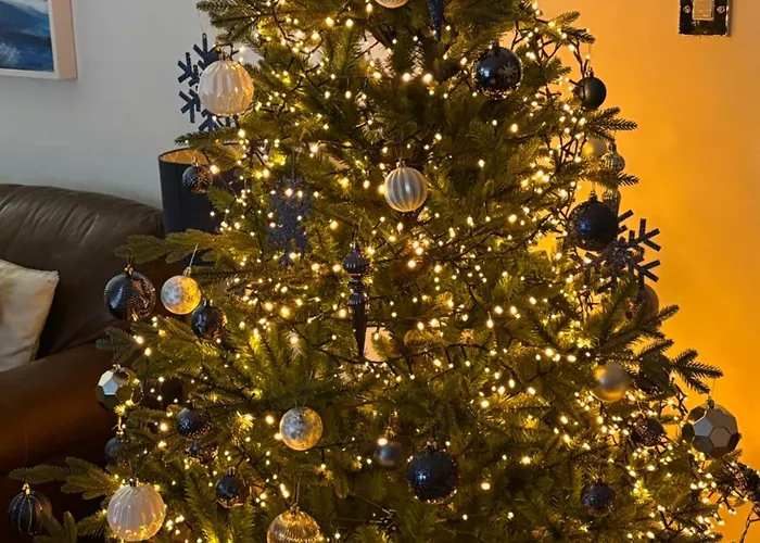 Ground Floor Dog Friendly Ideally Situated To Amenities Quiet Comfortable Location With Outside Space *